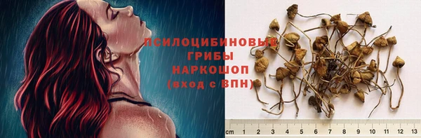 стафф Куйбышев