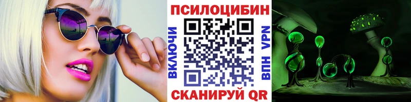 omg зеркало  Железногорск  darknet наркотические препараты  Псилоцибиновые грибы Cubensis 
