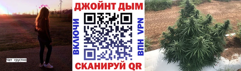 omg ССЫЛКА  Железногорск  МАРИХУАНА AK-47 